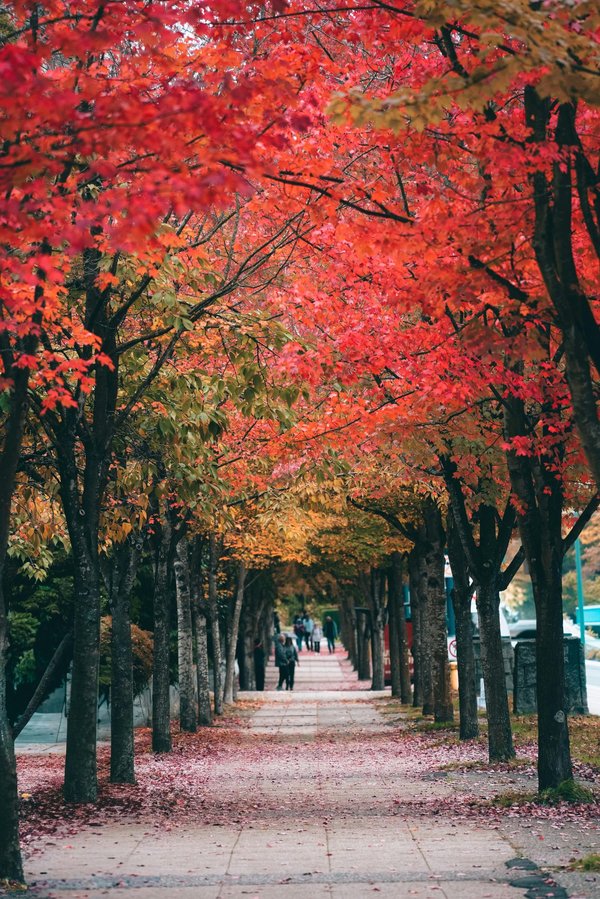 Destinations romantiques en novembre : nos coups de cœur en France